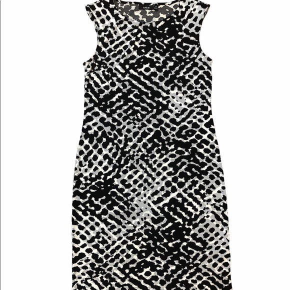 Animal Print Shift Dress - Picture 4 of 6